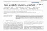 Proven Aspergillus flavus pulmonary aspergillosis in a COVID-19 patient: A case report and review of the literature